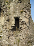 SX05486 Old doorway and yellow wallflowers growing on castle wall.jpg